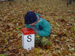 Pokemon v zahrani�� - na slovensk� stran� ��ry (hrani�n�).